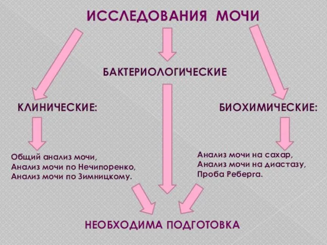 ИССЛЕДОВАНИЯ МОЧИ КЛИНИЧЕСКИЕ: БИОХИМИЧЕСКИЕ: БАКТЕРИОЛОГИЧЕСКИЕ Общий анализ мочи, Анализ мочи по Нечипоренко,