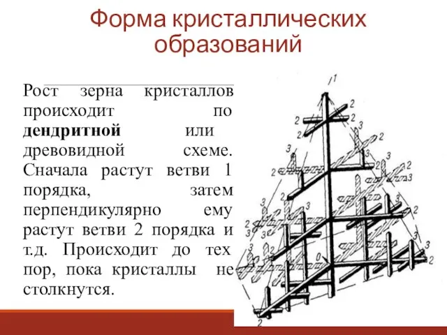 Форма кристаллических образований Рост зерна кристаллов происходит по дендритной или древовидной схеме.