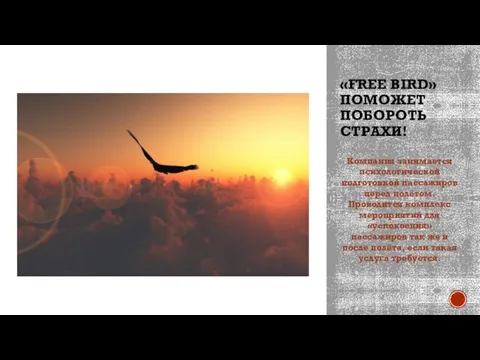 «FREE BIRD» ПОМОЖЕТ ПОБОРОТЬ СТРАХИ! Компания занимается психологической подготовкой пассажиров перед полётом.