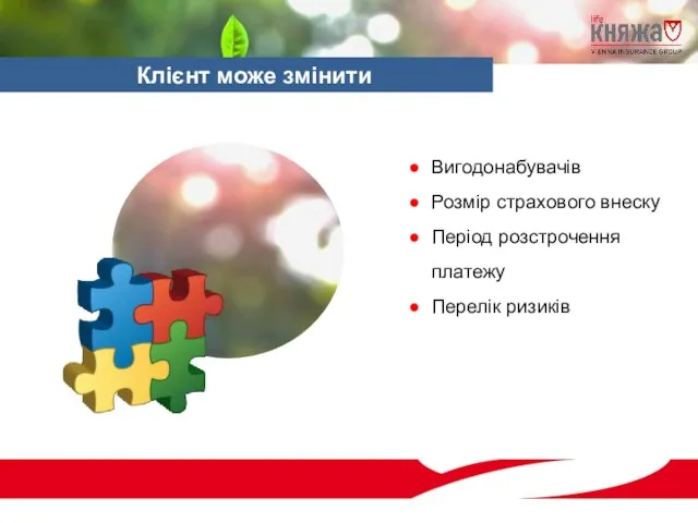 Вигодонабувачів Розмір страхового внеску Період розстрочення платежу Перелік ризиків