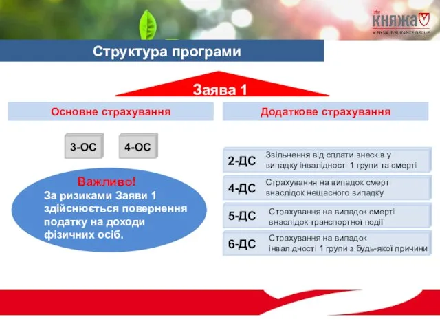 Структура програми Заява 1 Основне страхування Додаткове страхування