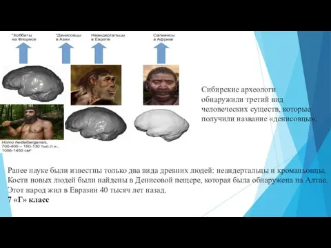 Сибирские археологи обнаружили третий вид человеческих существ, которые получили название «денисовцы». Ранее