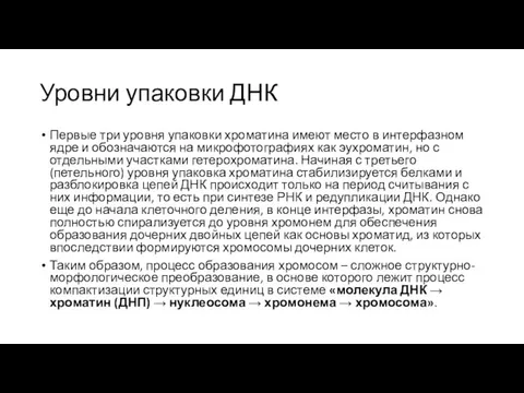 Уровни упаковки ДНК Первые три уровня упаковки хроматина имеют место в интерфазном