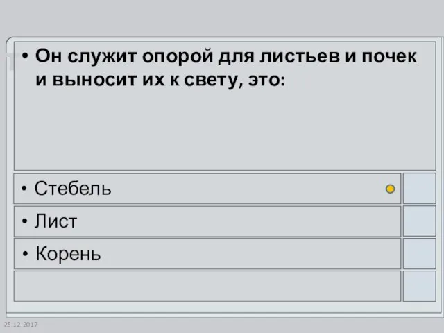 25.12.2017 Он служит опорой для листьев и почек и выносит их к