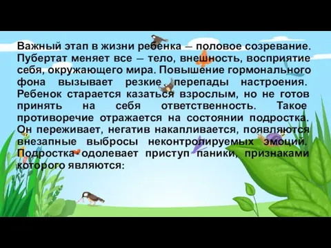 Важный этап в жизни ребенка — половое созревание. Пубертат меняет все —