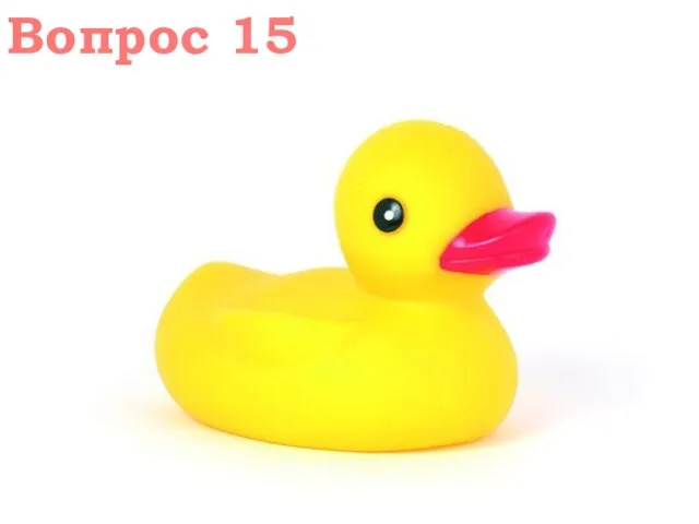 Вопрос 15