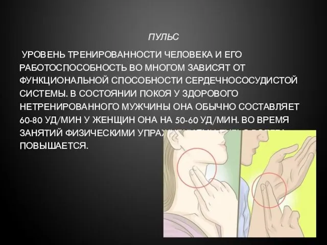 ПУЛЬС УРОВЕНЬ ТРЕНИРОВАННОСТИ ЧЕЛОВЕКА И ЕГО РАБОТОСПОСОБНОСТЬ ВО МНОГОМ ЗАВИСЯТ ОТ ФУНКЦИОНАЛЬНОЙ