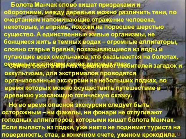 Болота Манчак слово кишат призраками и оборотнями, между деревьев можно различить тени,