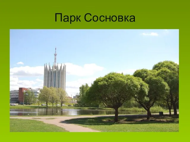 Парк Сосновка