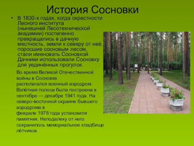 История Сосновки В 1830-х годах, когда окрестности Лесного института (нынешней Лесотехнической академии)