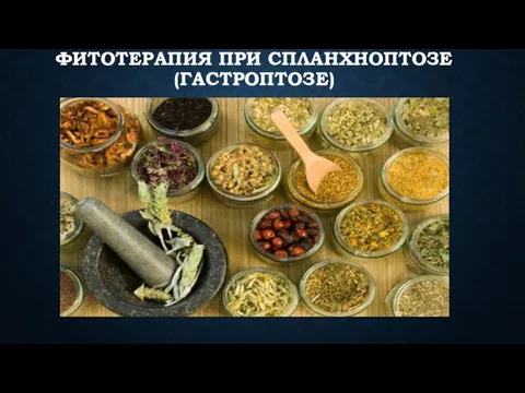 ФИТОТЕРАПИЯ ПРИ СПЛАНХНОПТОЗЕ(ГАСТРОПТОЗЕ)