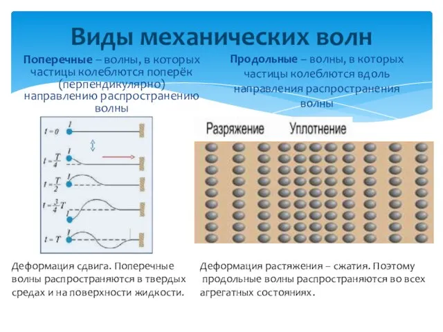 Виды механических волн Поперечные – волны, в которых частицы колеблются поперёк (перпендикулярно)