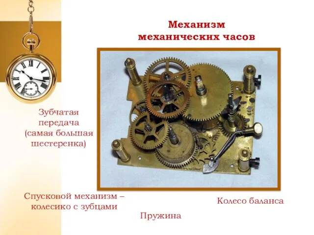 Механизм механических часов Зубчатая передача (самая большая шестеренка) Спусковой механизм – колесико