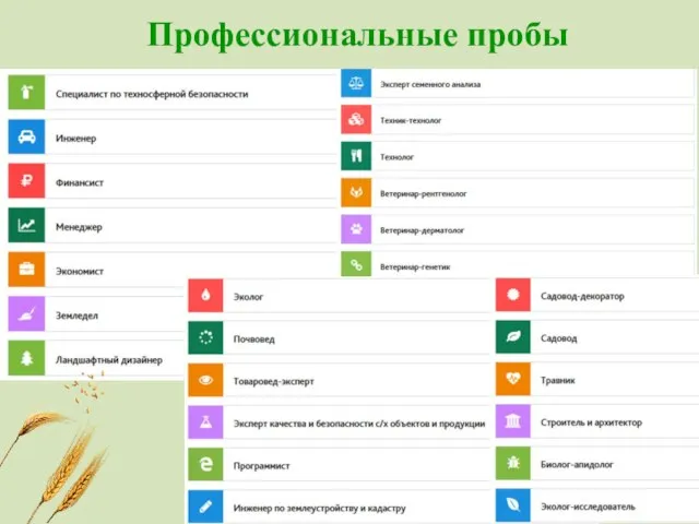 Профессиональные пробы