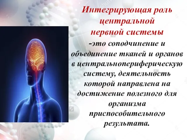 Интегрирующая роль центральной нервной системы -это соподчинение и объединение тканей и органов