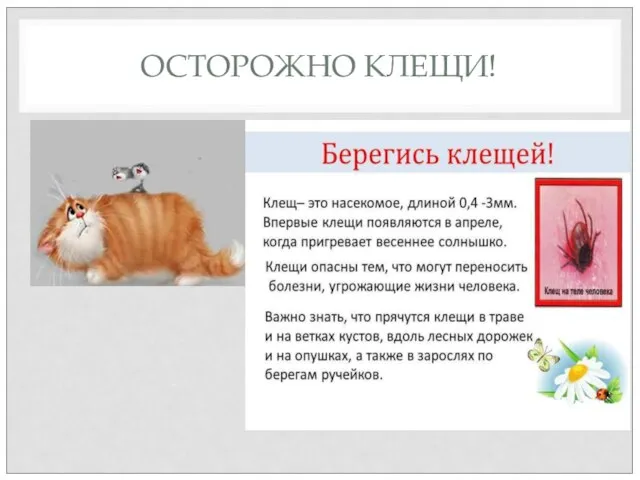 ОСТОРОЖНО КЛЕЩИ!