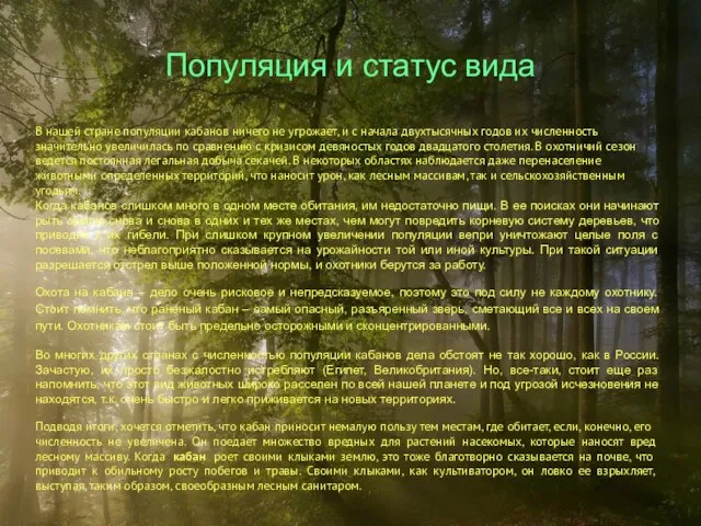 Популяция и статус вида В нашей стране популяции кабанов ничего не угрожает,