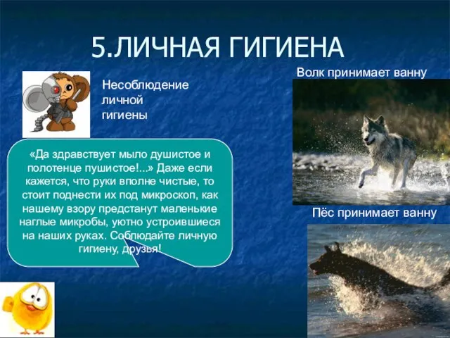 5.ЛИЧНАЯ ГИГИЕНА «Да здравствует мыло душистое и полотенце пушистое!...» Даже если кажется,