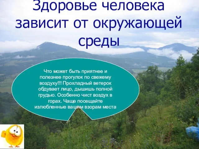 Здоровье человека зависит от окружающей среды Что может быть приятнее и полезнее