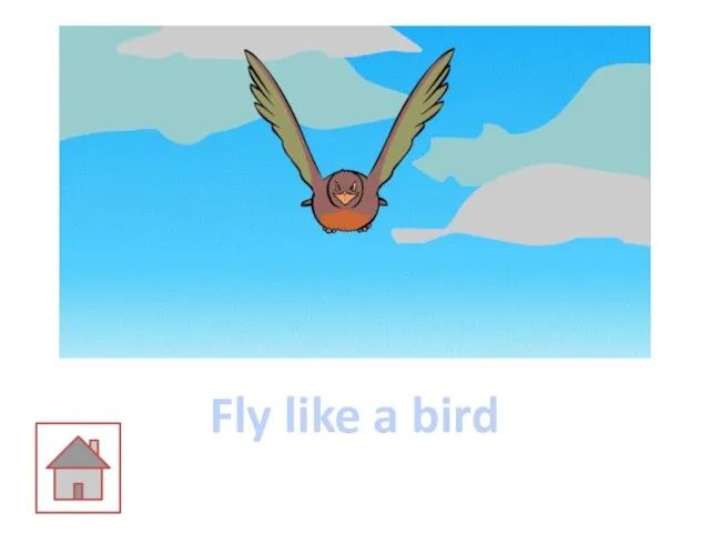 Fly like a bird