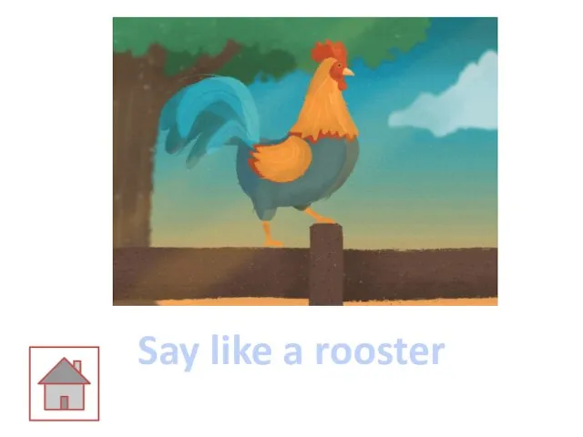 Say like a rooster