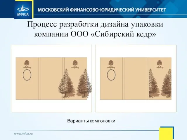Процесс разработки дизайна упаковки компании ООО «Сибирский кедр» Варианты компоновки