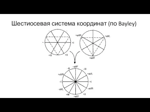 Шестиосевая система координат (по Bayley)