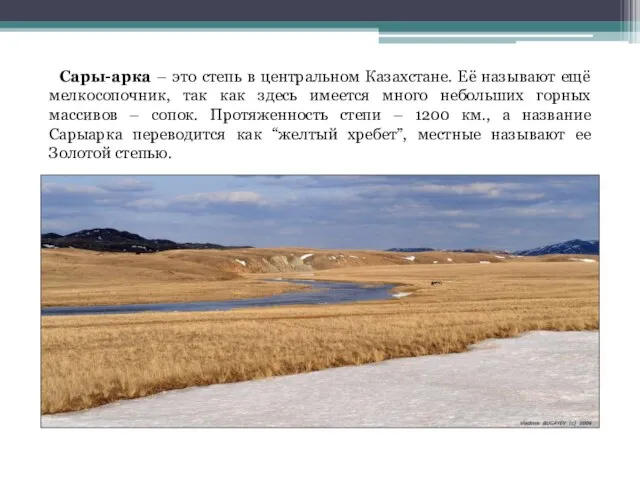 Сары-арка – это степь в центральном Казахстане. Её называют ещё мелкосопочник, так