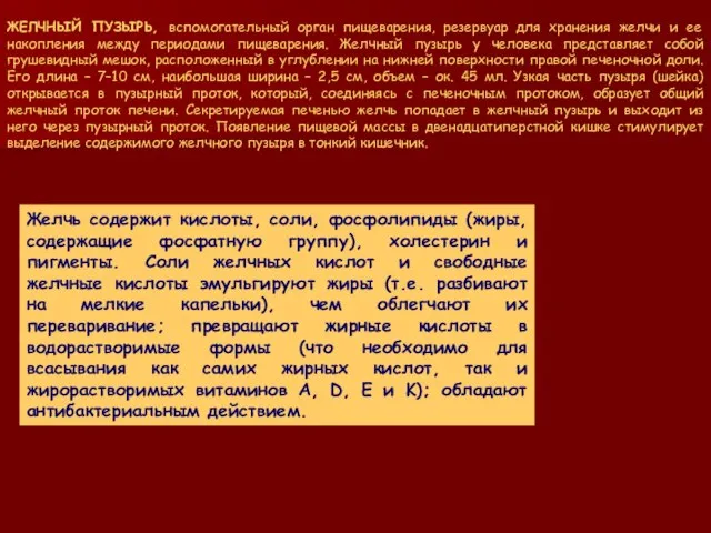 ЖЕЛЧНЫЙ ПУЗЫРЬ, вспомогательный орган пищеварения, резервуар для хранения желчи и ее накопления