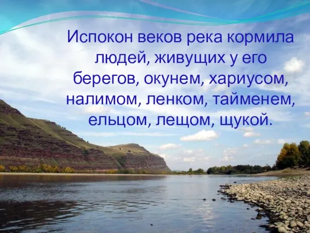 Испокон веков река кормила людей, живущих у его берегов, окунем, хариусом, налимом,