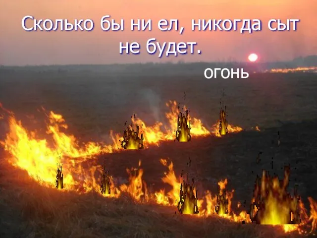 Сколько бы ни ел, никогда сыт не будет. огонь