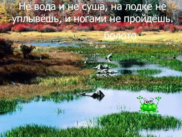 Не вода и не суша, на лодке не уплывёшь, и ногами не пройдёшь. болото