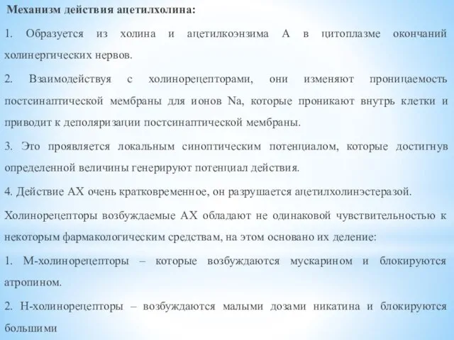 Механизм действия ацетилхолина: 1. Образуется из холина и ацетилкоэнзима А в цитоплазме