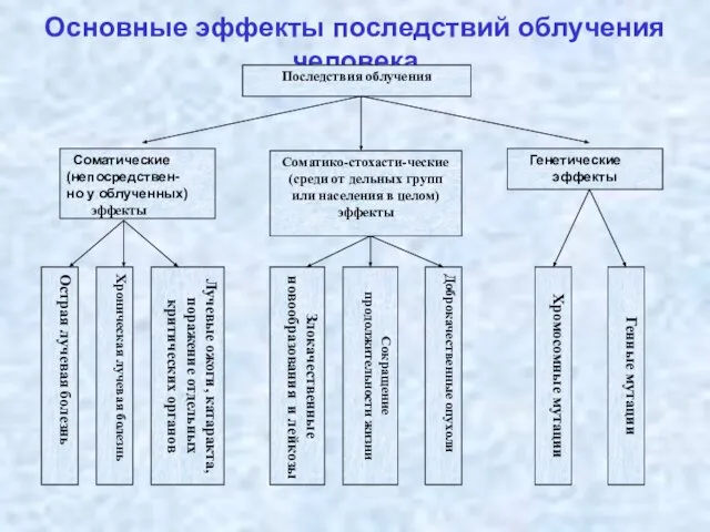 Основные эффекты последствий облучения человека Последствия облучения Соматические (непосредствен- но у облученных)