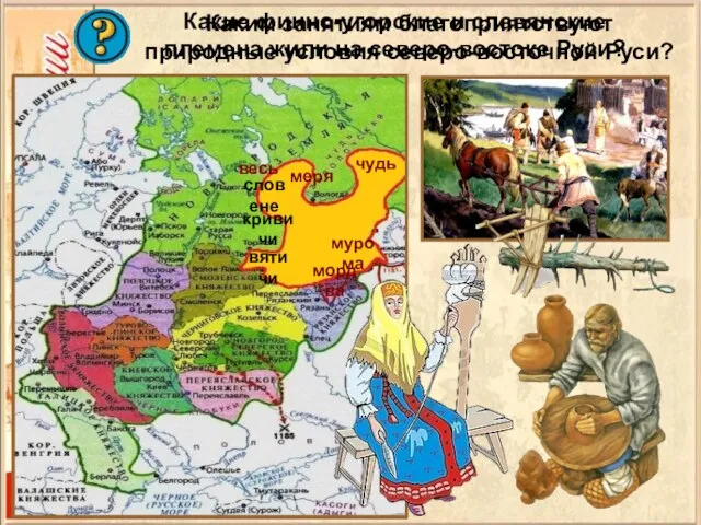 Какие финно-угорские и славянские племена жили на северо-востоке Руси? Каким занятиям благоприятствуют