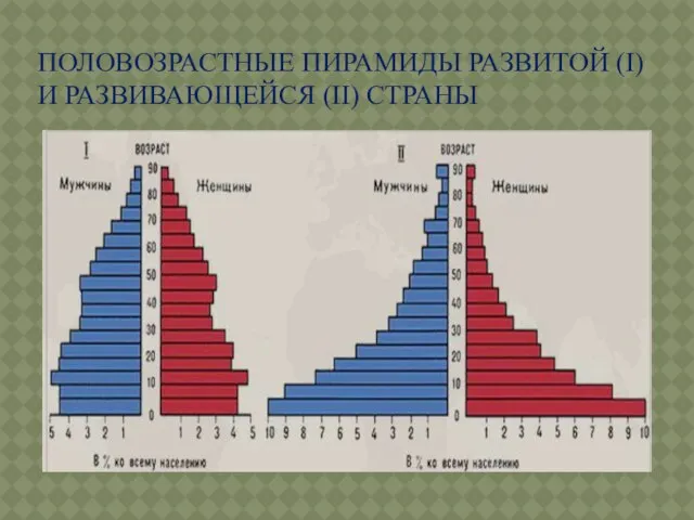 ПОЛОВОЗРАСТНЫЕ ПИРАМИДЫ РАЗВИТОЙ (I) И РАЗВИВАЮЩЕЙСЯ (II) СТРАНЫ