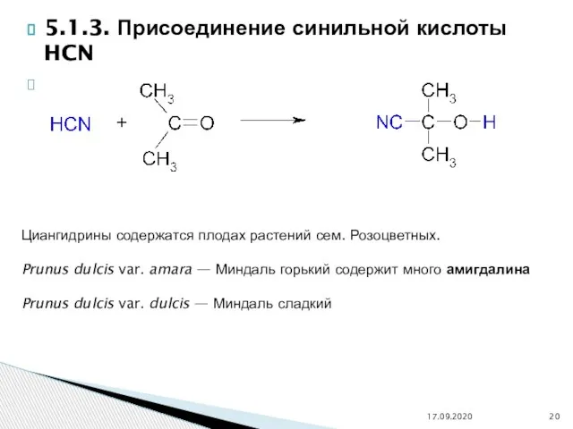 5.1.3. Присоединение синильной кислоты HCN 17.09.2020 Циангидрины содержатся плодах растений сем. Розоцветных.