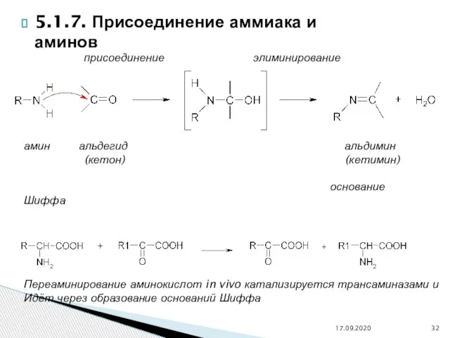 5.1.7. Присоединение аммиака и аминов 17.09.2020 присоединение элиминирование амин альдегид альдимин (кетон)