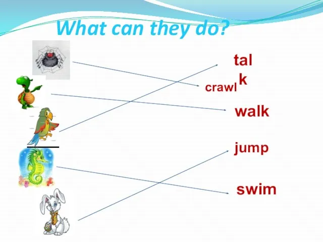 What can they do? crawl jump walk talk swim