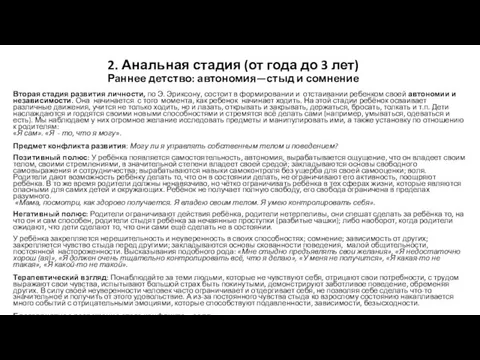 2. Анальная стадия (от года до 3 лет) Раннее детство: автономия—стыд и