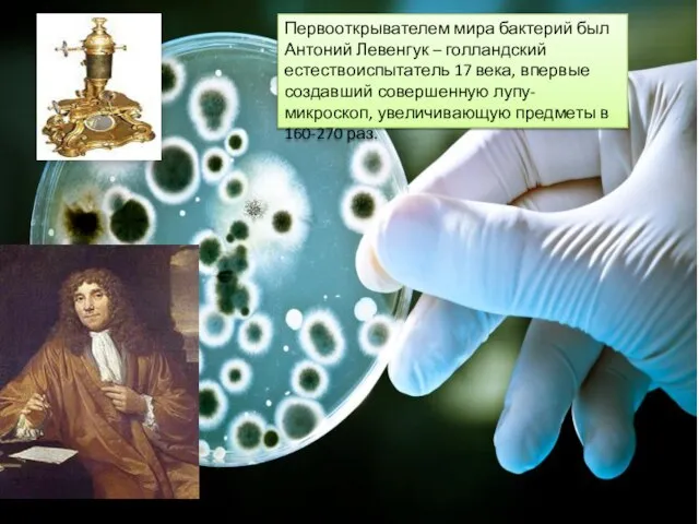 Первооткрывателем мира бактерий был Антоний Левенгук – голландский естествоиспытатель 17 века, впервые