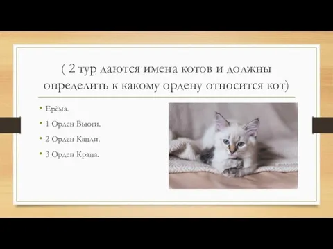 ( 2 тур даются имена котов и должны определить к какому ордену