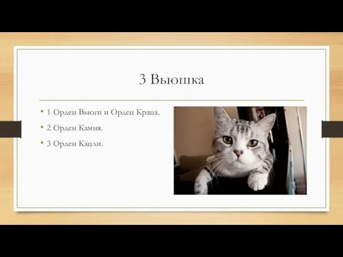 3 Вьюшка 1 Орден Вьюги и Орден Крапа. 2 Орден Камня. 3 Орден Капли.