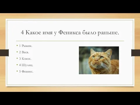 4 Какое имя у Феникса было раньше. 1 Рыжик. 2 Вася. 3