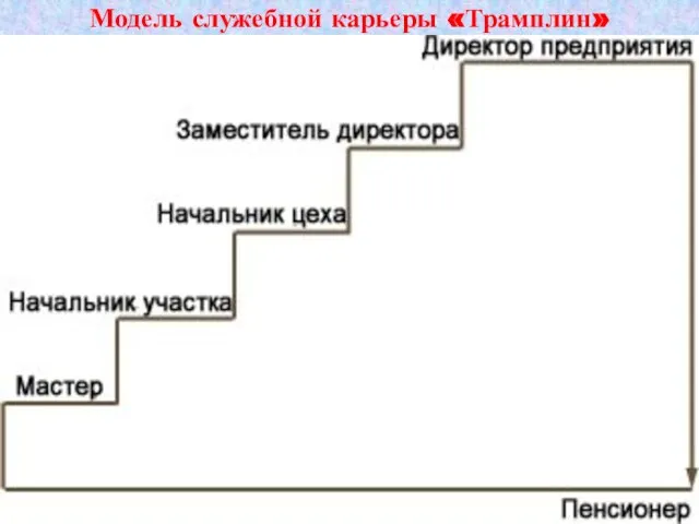 Модель служебной карьеры «Трамплин»