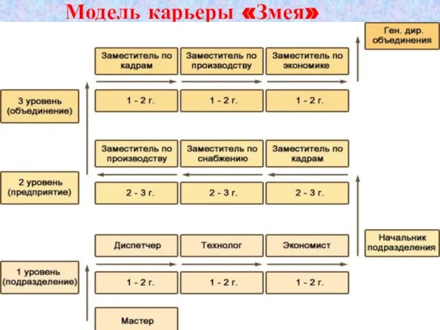 Модель карьеры «Змея»