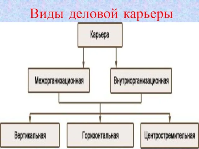 Виды деловой карьеры