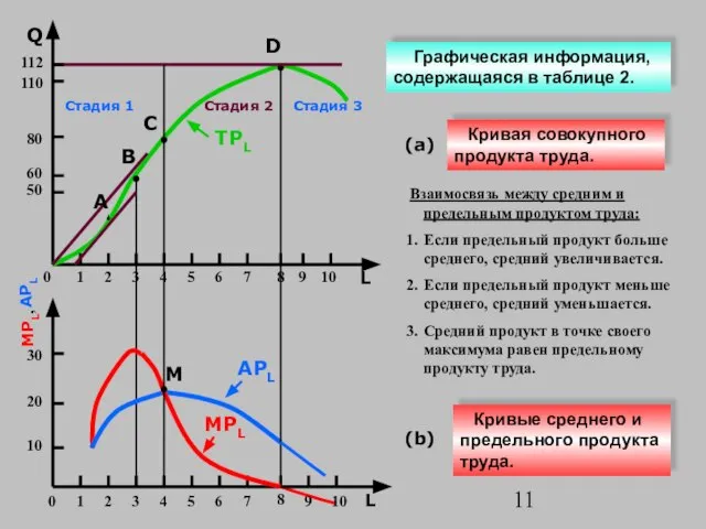 (b) APL Q L Кривые среднего и предельного продукта труда. 50 112