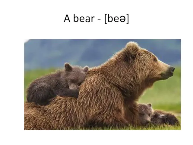 A bear - [beə]