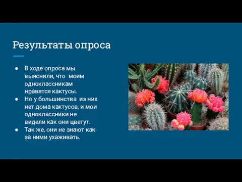 Результаты опроса В ходе опроса мы выяснили, что моим одноклассникам нравятся кактусы.